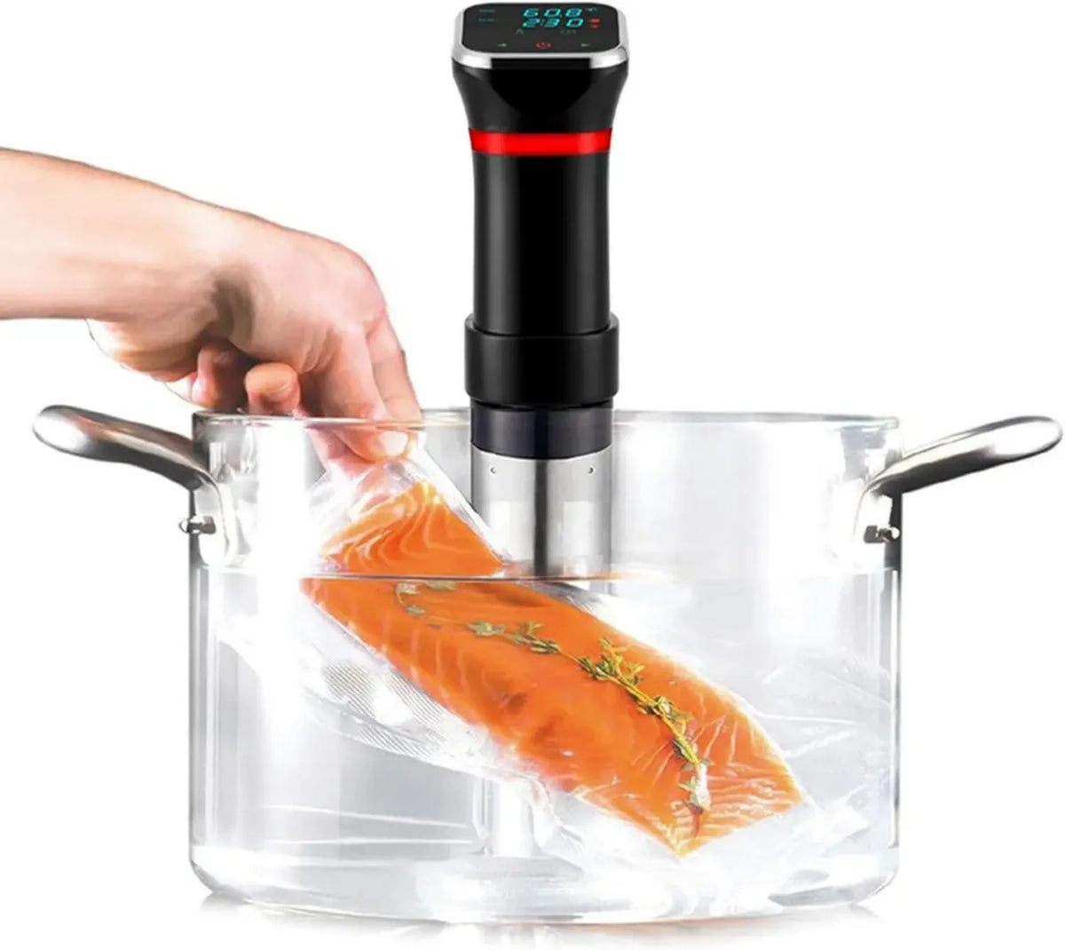 Cottura Sous Vide Immersione 1100W con Controllo di Temperatura e Tempo