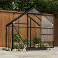 Serra per Piante in Vetro Antracite 155x103x191 cm con Telaio in Alluminio