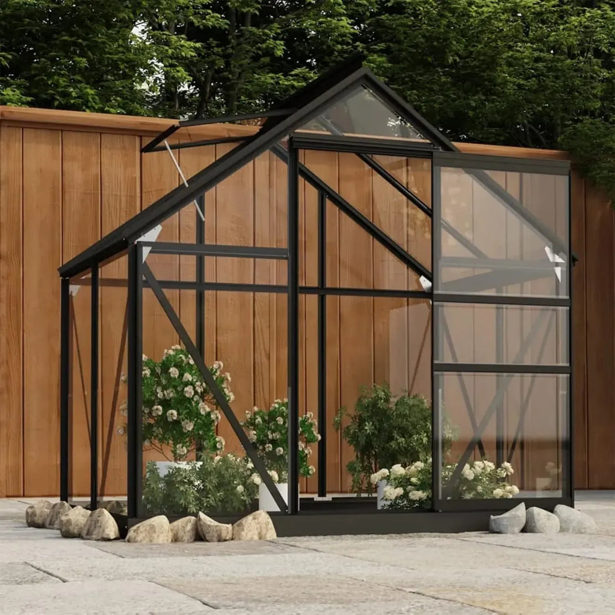 Serra per Piante in Vetro Antracite 155x103x191 cm con Telaio in Alluminio
