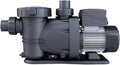 Pompa di Filtrazione Piscina 900W, 20m3/h, Filtro 600mm, Eco-Design