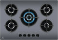 Electrolux Piano Cottura a Gas 5 Fuochi, 75 cm, Serie 600, Bruciatore Wok e Rapido, Griglie in Ghisa