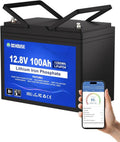 Batteria LiFePO4 12V 100Ah con Protezione Termica e BMS 100A per Uso Marino e Solare