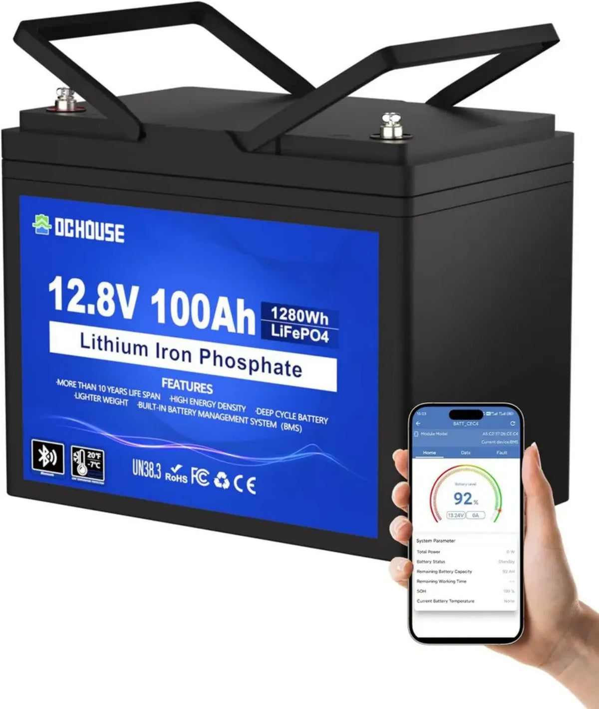 Batteria LiFePO4 12V 100Ah con Protezione Termica e BMS 100A per Uso Marino e Solare