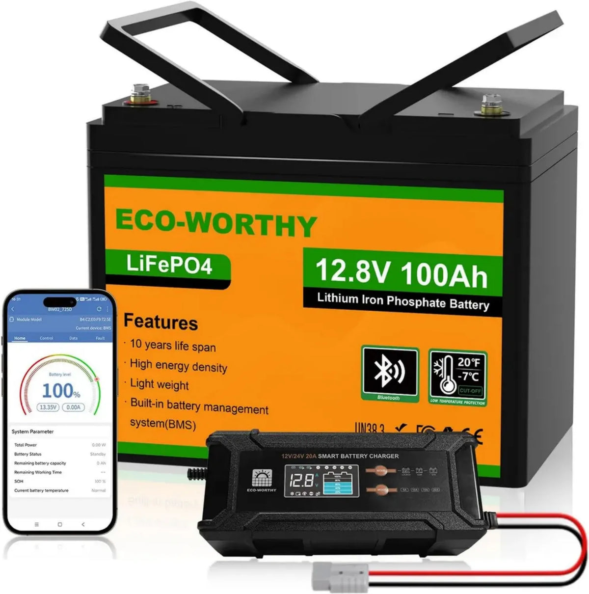 Batteria al Litio ECO-WORTHY 12V 100Ah LiFePO4 con Bluetooth e Caricabatterie 12/24V 20A, Protezione BMS per Camper, Barca e Roulotte