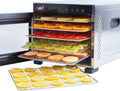 Essiccatore Alimentare in Acciaio Inox con 6 Vassoi - Timer 24 Ore, Temperatura 35-75¡ãC, 650W